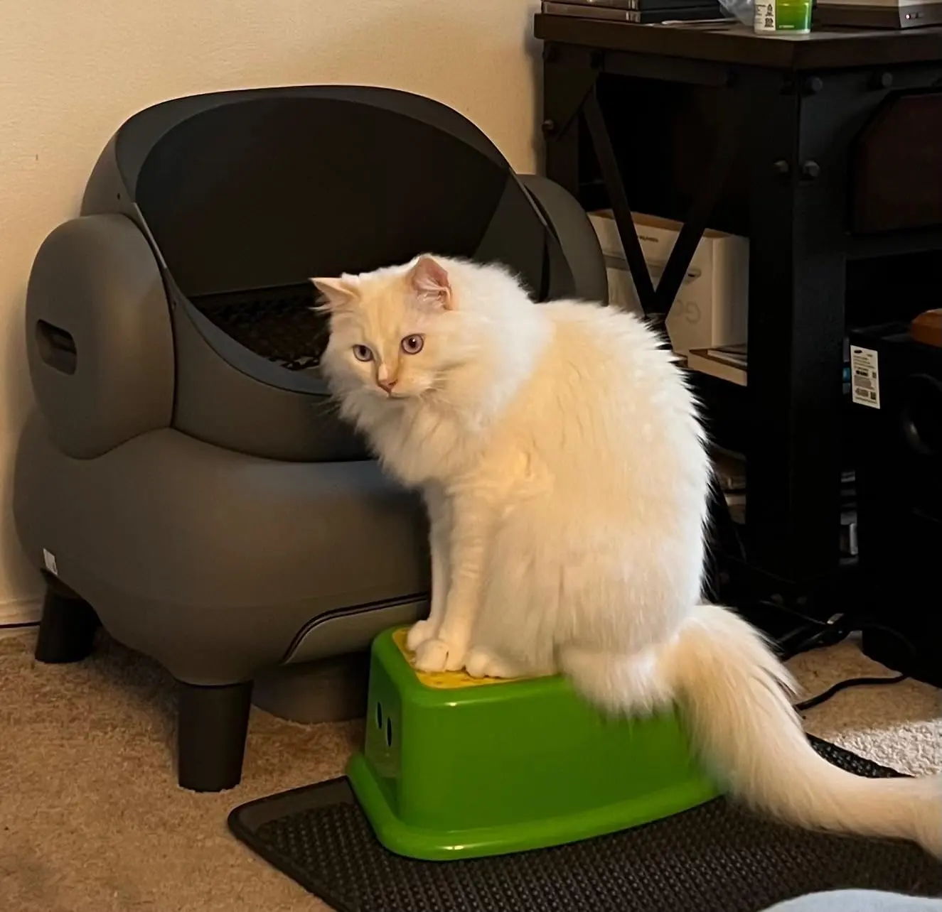 Neakasa Pet Care
